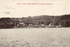 Liholt