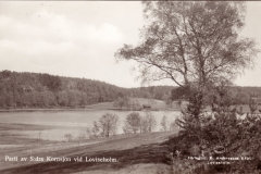 Kornsjø - Loviseholm