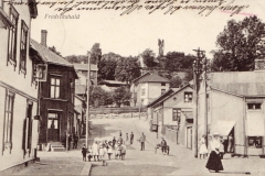 Damhaugen