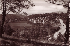 Halden stadion