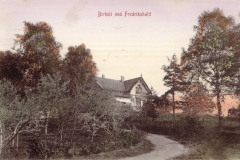 Birkeli