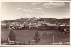 Halden stadion