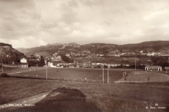 Halden stadion