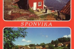 Sponvika