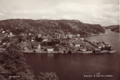 Sponvika