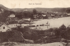 Sponvika