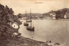 Sponvika